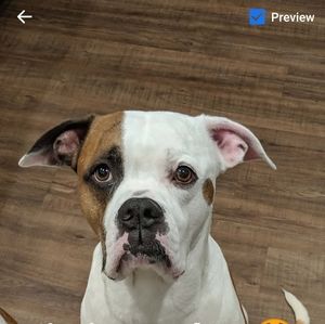 Meet your Posher, Ruth